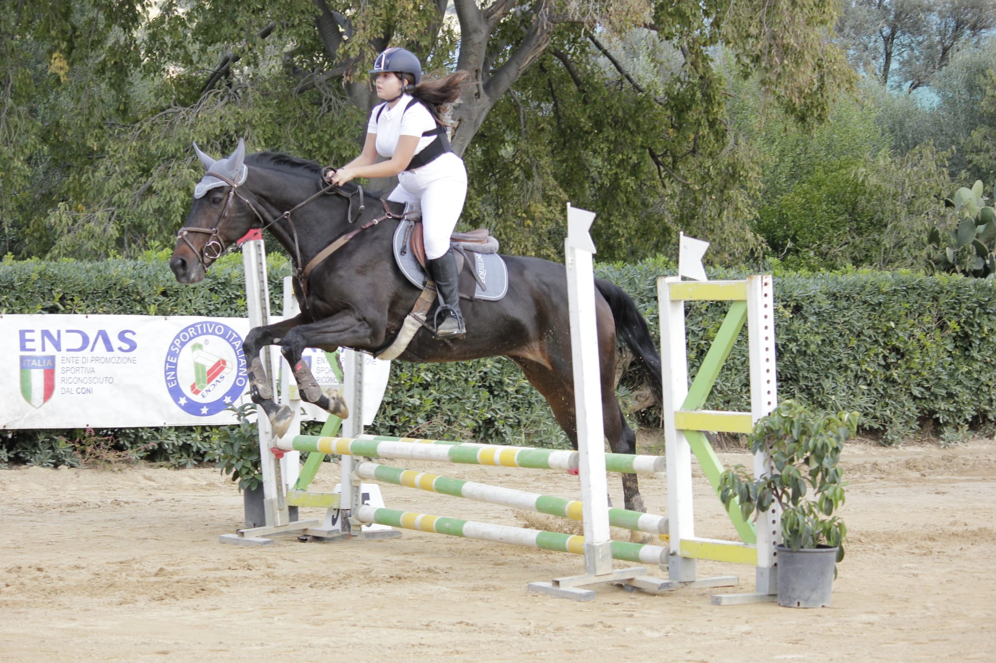 one day endas 13 novembre 2022