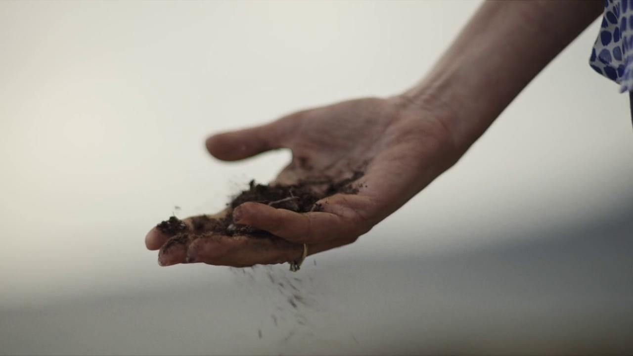 869588-thumb-full-720-trailer_scorte_loghi_720p_