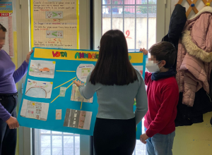 giocando in democrazia