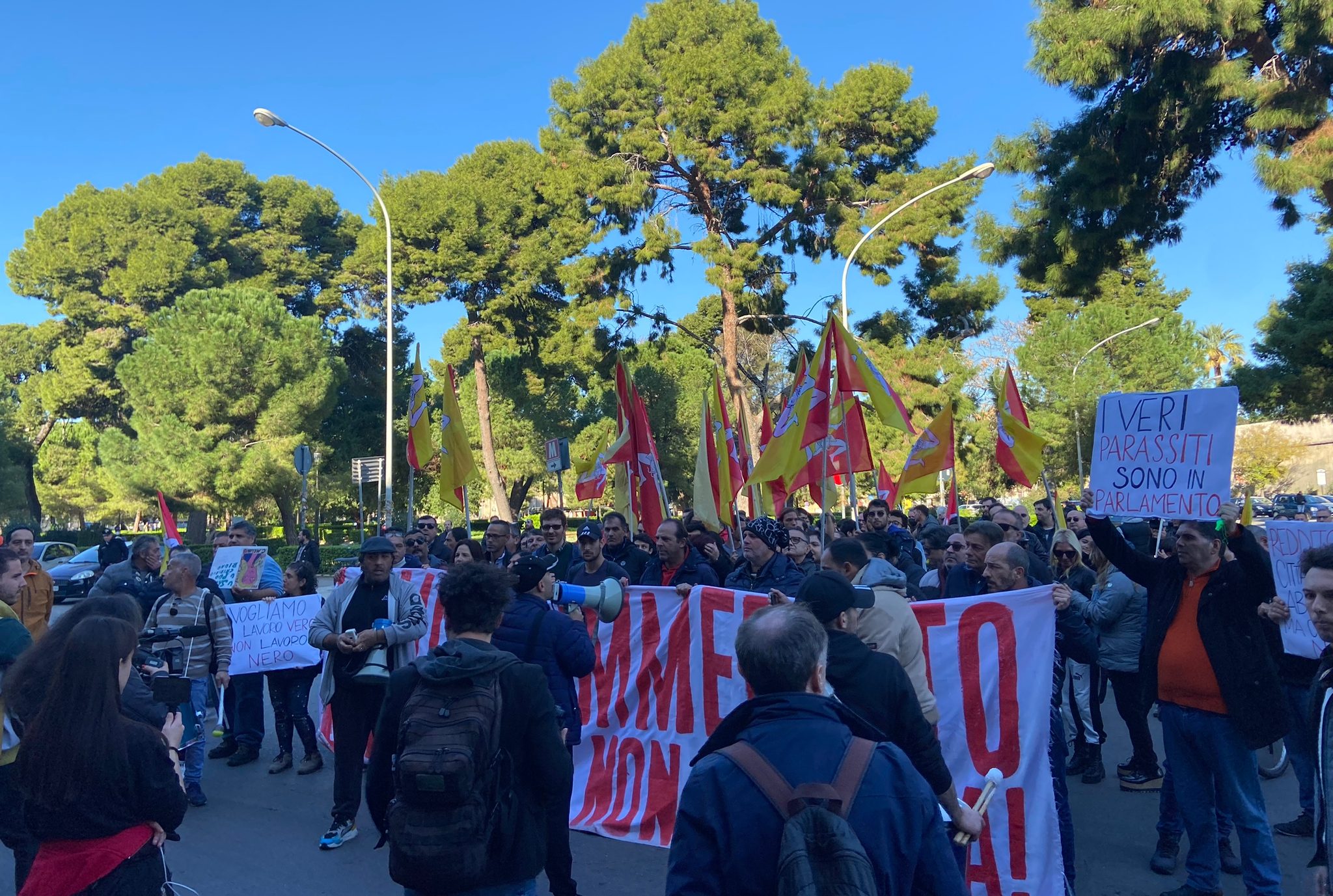 reddito di cittadinanza