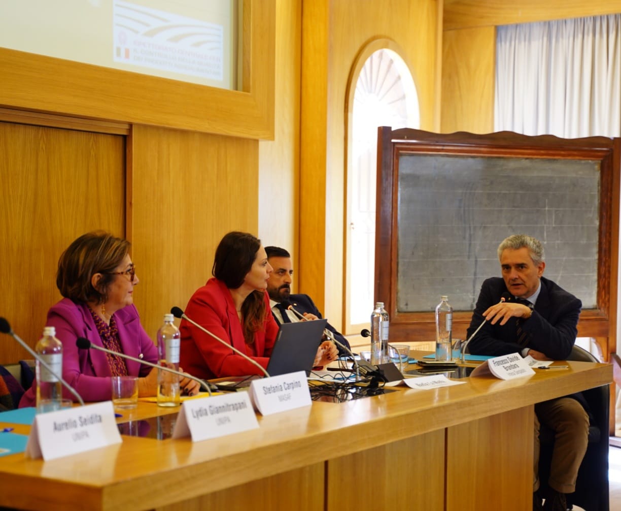 WhatsApp Image 2023-01-14 at 16.35.03 (1)