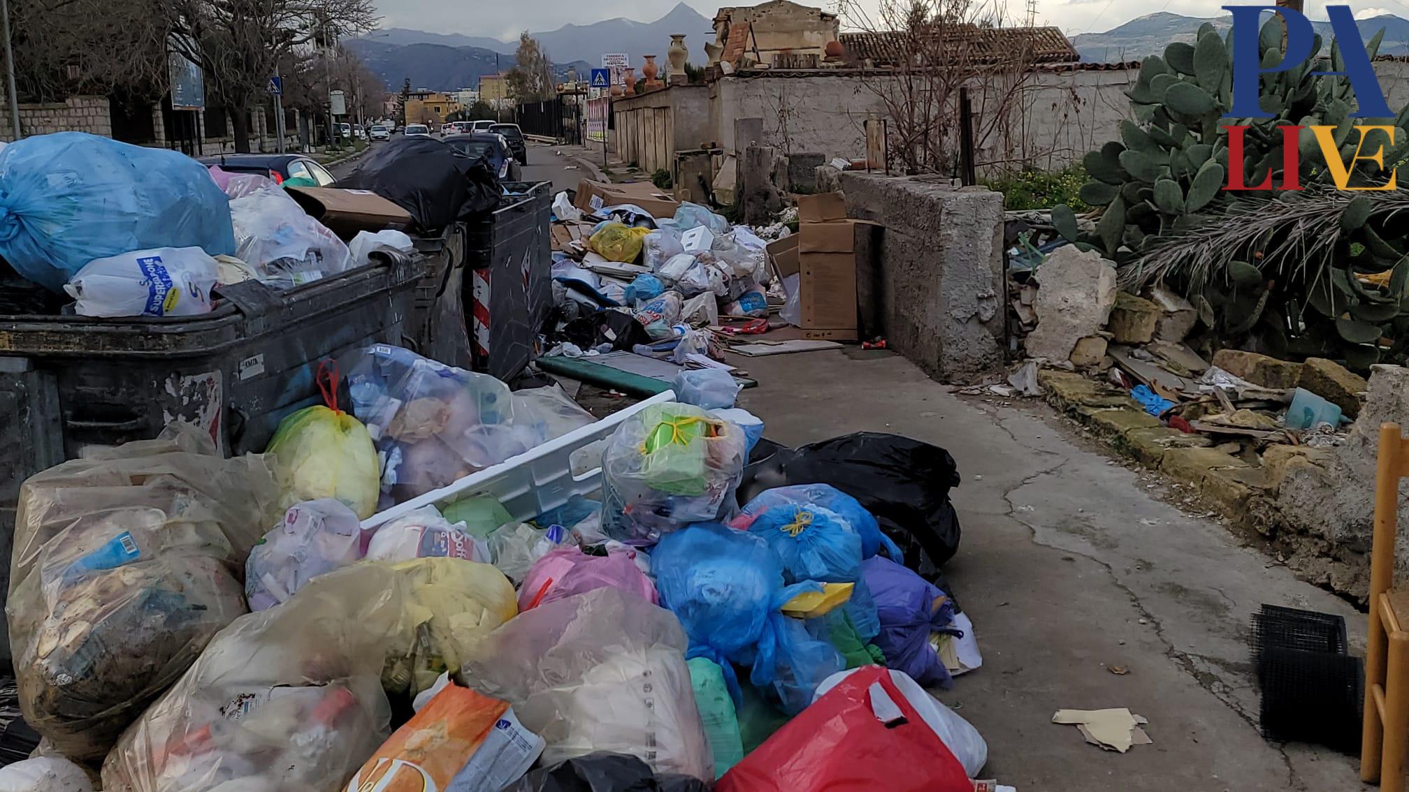 WhatsApp Image 2023-01-24 at 21.43.09