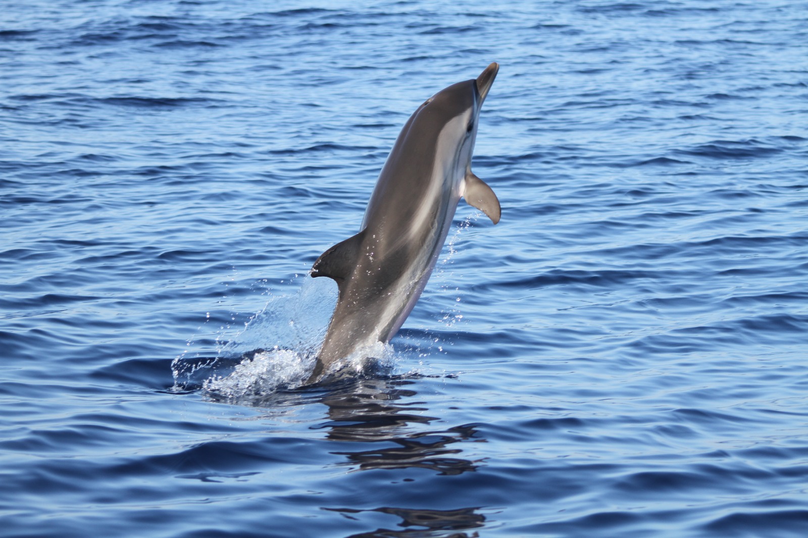 WhatsApp Image 2023-02-18 at 17.50.14