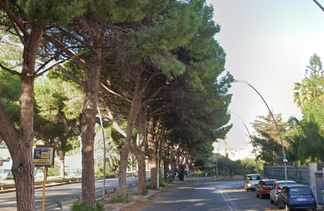 viale Regione Siciliana