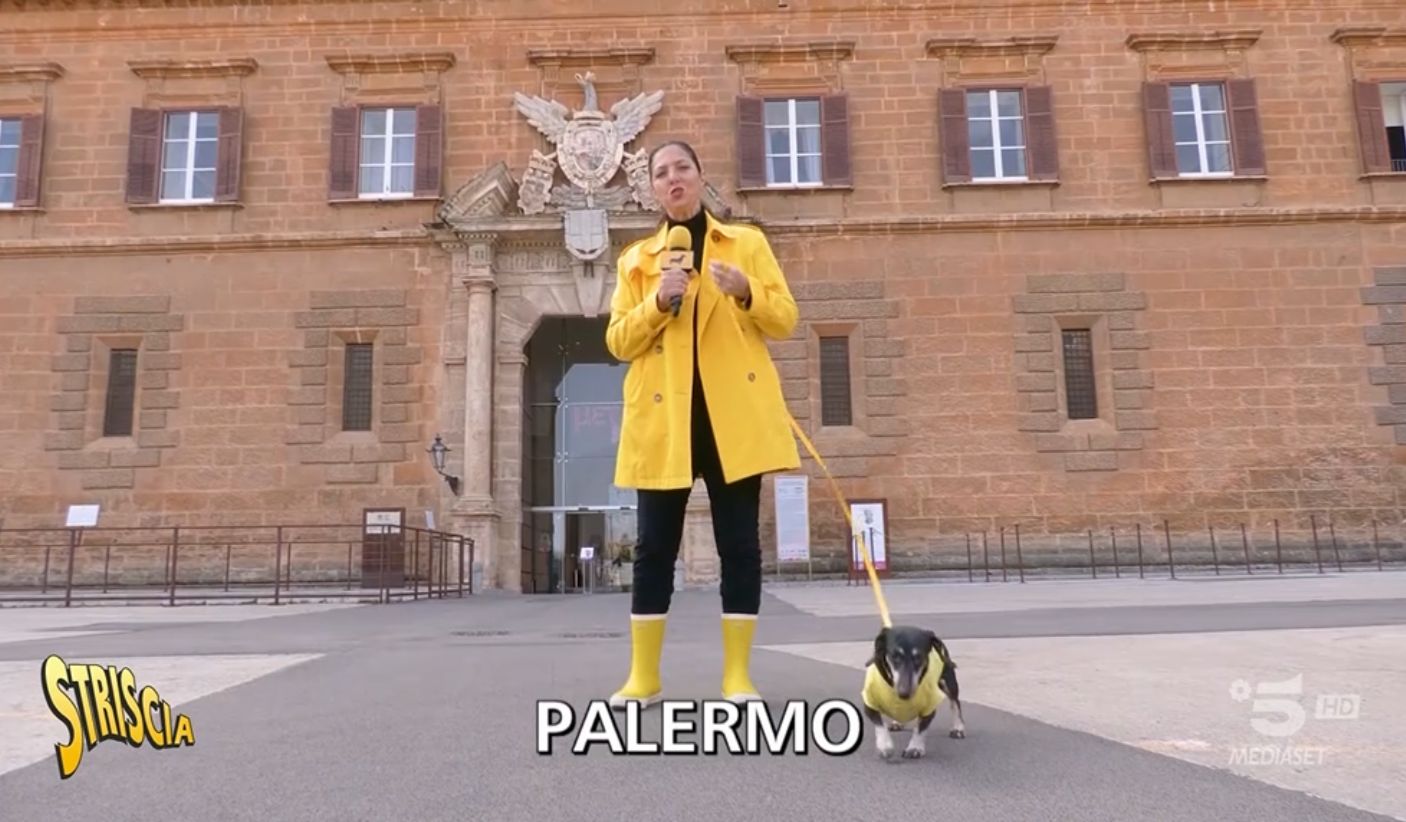 884cd3f3-eed9-4233-b43f-39ef2dcb5a7a