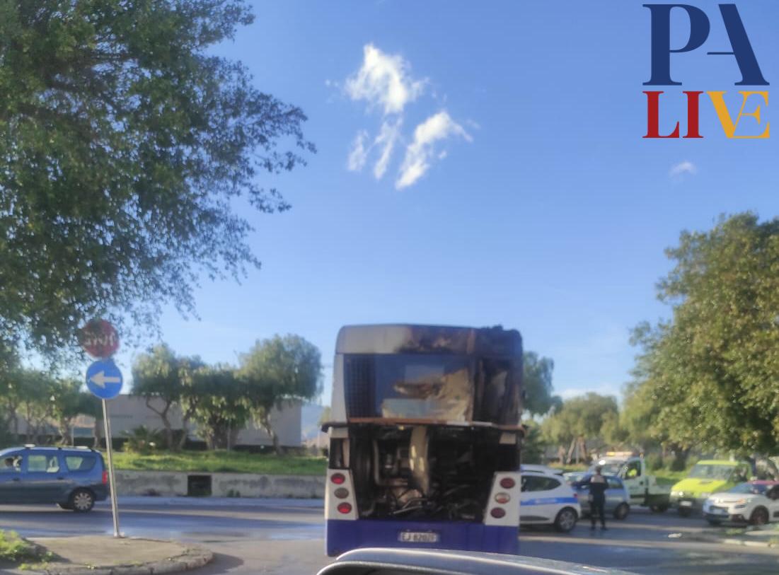 D72D38FF-EA3B-42B1-9477-58B4BBF20898