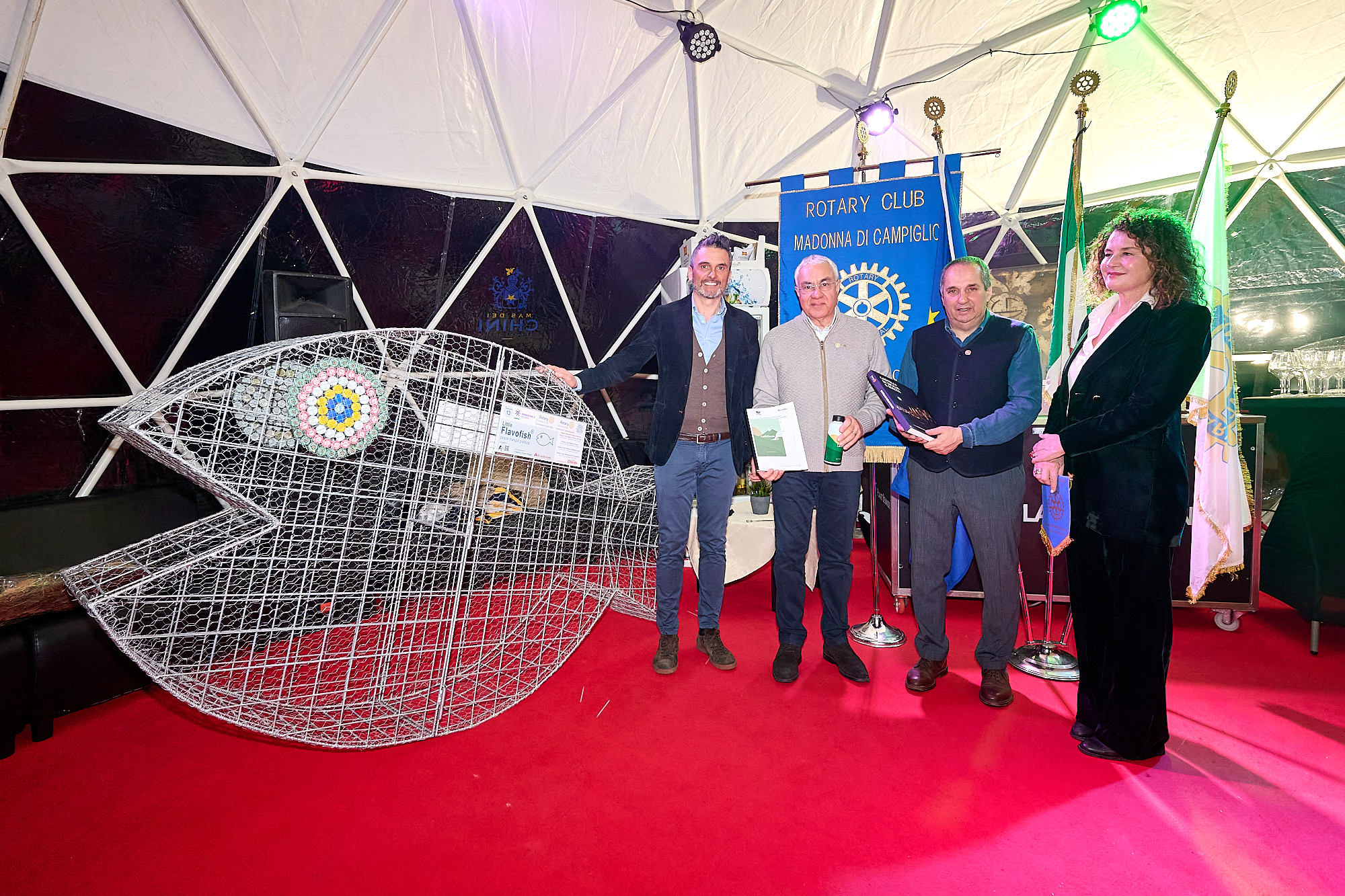 foto rotary flavo fish