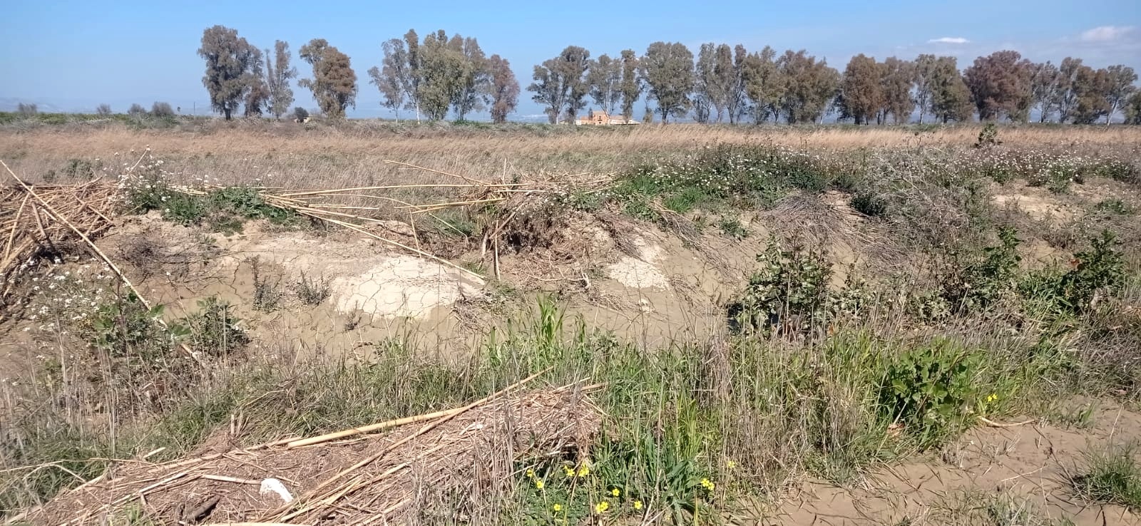 8c64a7f5-a0bb-4909-906c-d3da3f067db8