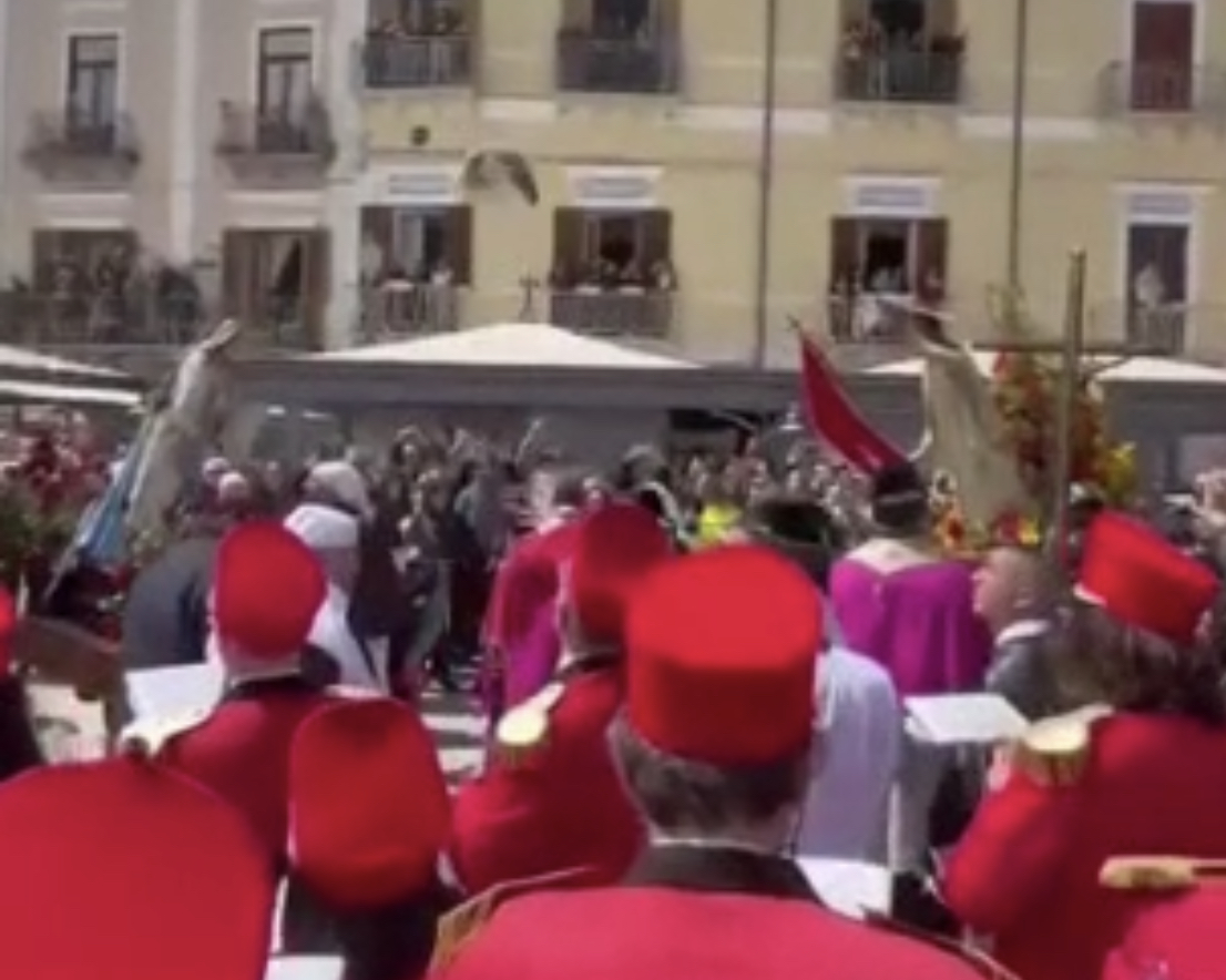 D3F70842-14D4-414B-B442-5A3928DB37C6