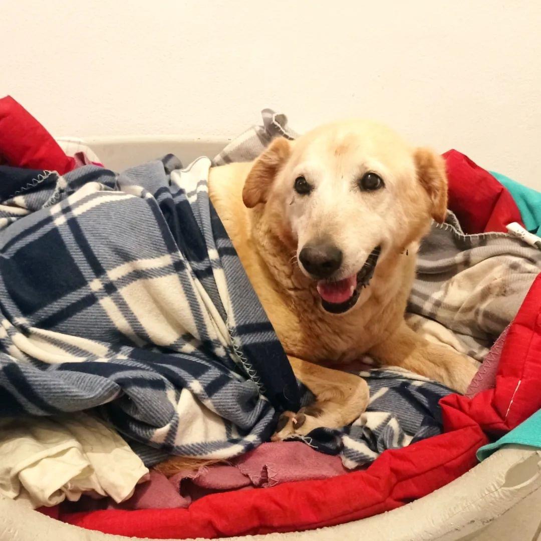 F42C7EC3-7768-4228-B636-B0E254E416C8