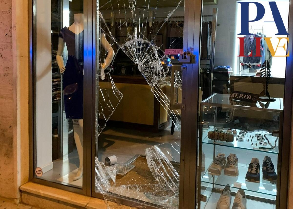 WhatsApp Image 2023-04-15 at 13.43.11