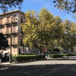 Domeniche a piedi e in bici in via Libertà, arriva l’ordinanza del Comune di Palermo: biglietti autobus a metà prezzo