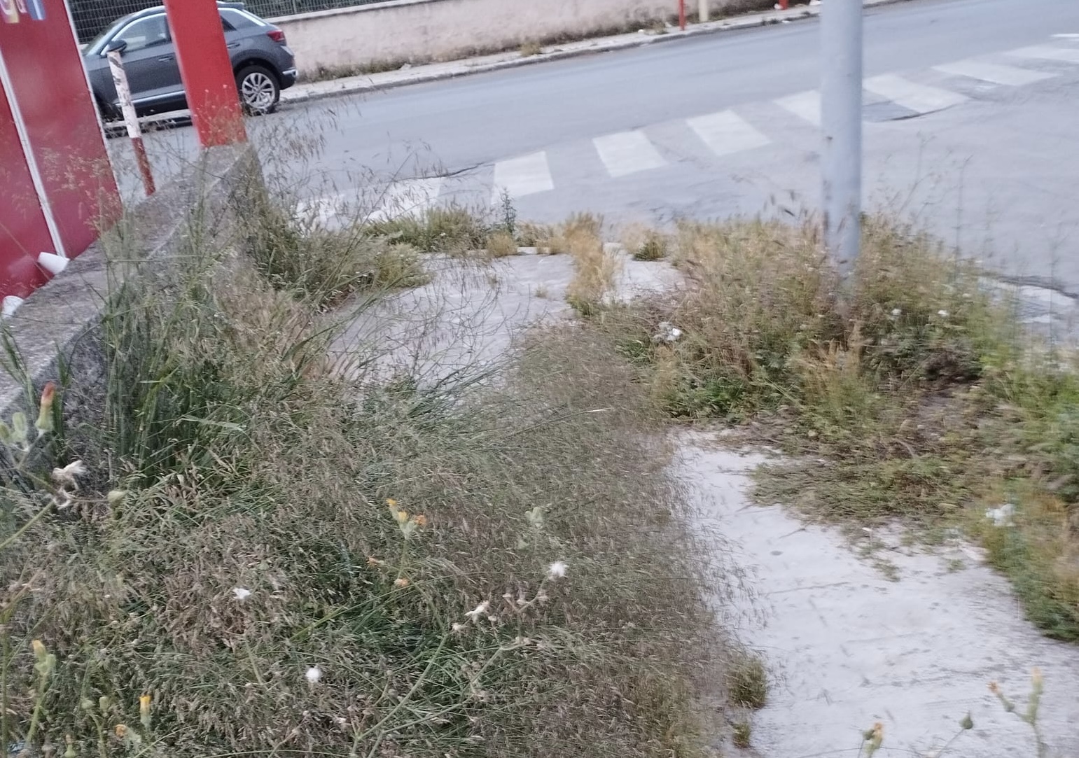 60EF20DA-2328-4175-82A8-F9BD76F77639