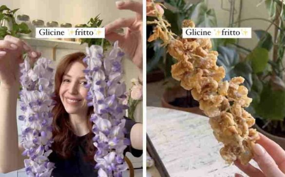 6761F8EC-4840-4F9C-ACDD-F946A7FD3A23