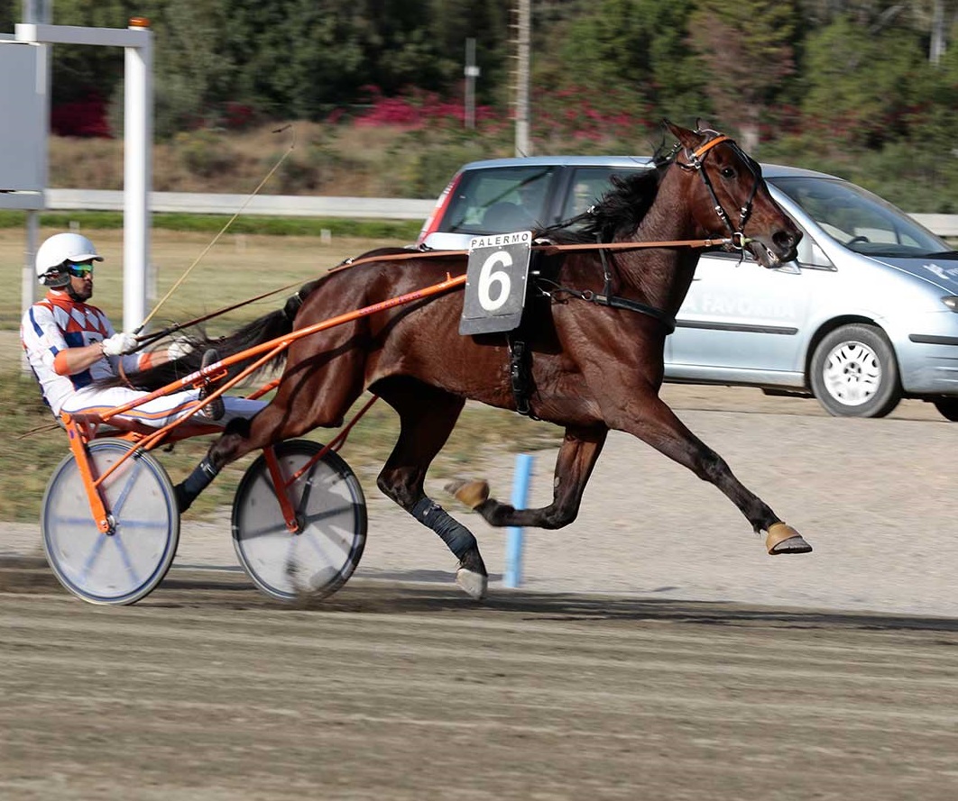 6'CORSA - CENTRALE- ERMES TREBI- DRIVER G. LO VERDE