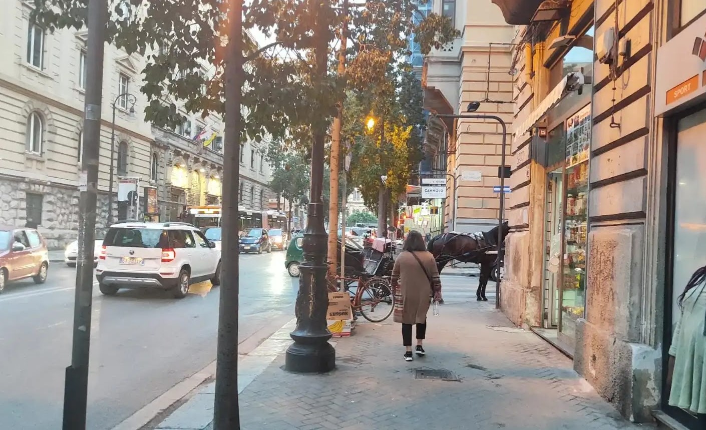 Cavallo-imbizzarito-a-Palermo-1