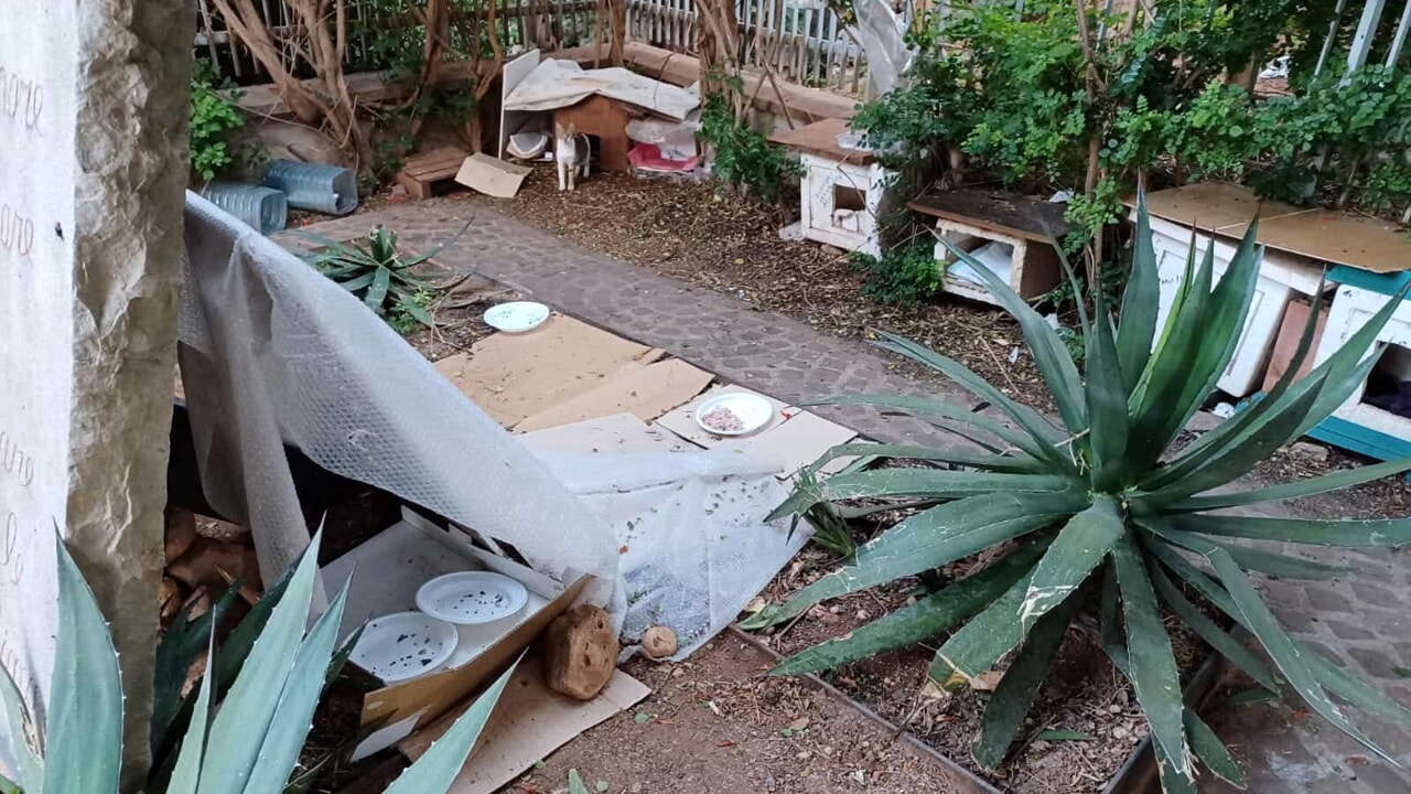 Lapide strage via D'Amelio via Cilea-2