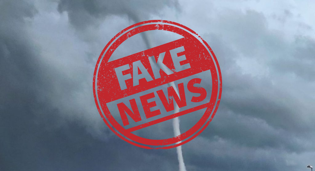 Progetto senza titolo (46)