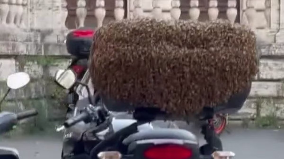 023fe673-fd2e-4a72-a9b7-302390c41f31