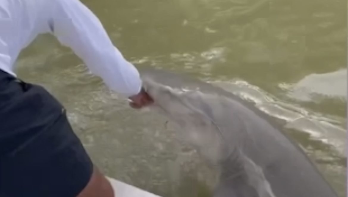 78FFA962-C324-41CB-A6FB-46E422497A37