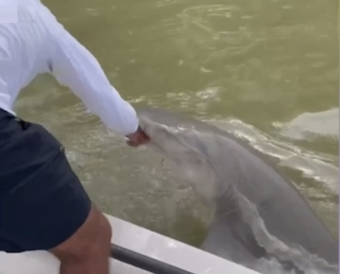 78FFA962-C324-41CB-A6FB-46E422497A37