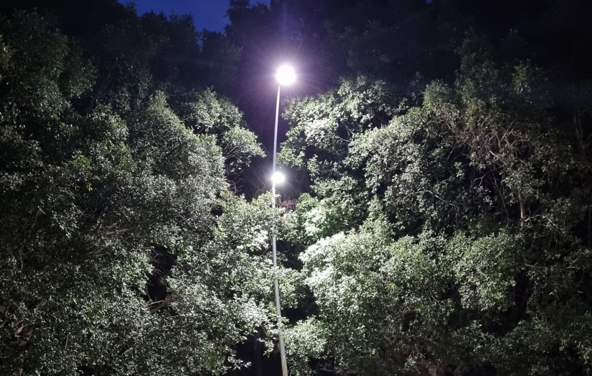 8C90D354-FA89-4819-B222-25988BFEAEEA