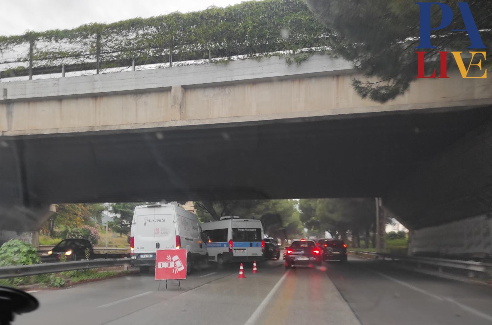 WhatsApp Image 2023-06-05 at 19.49.06 (1)