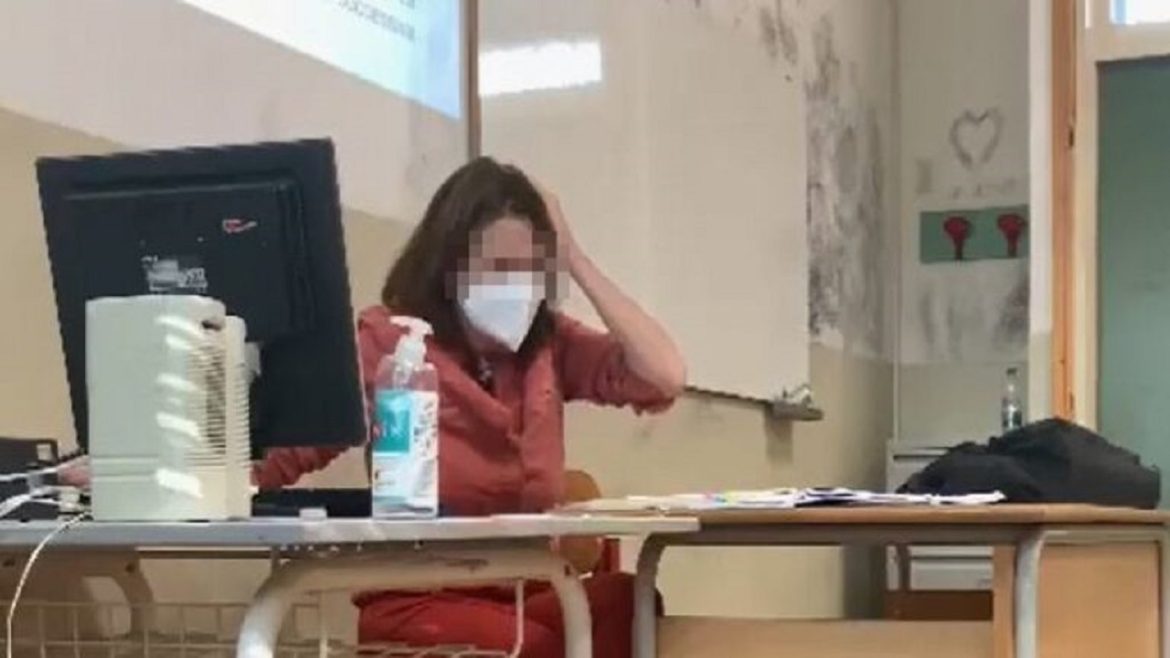 professoressa colpita da pallini