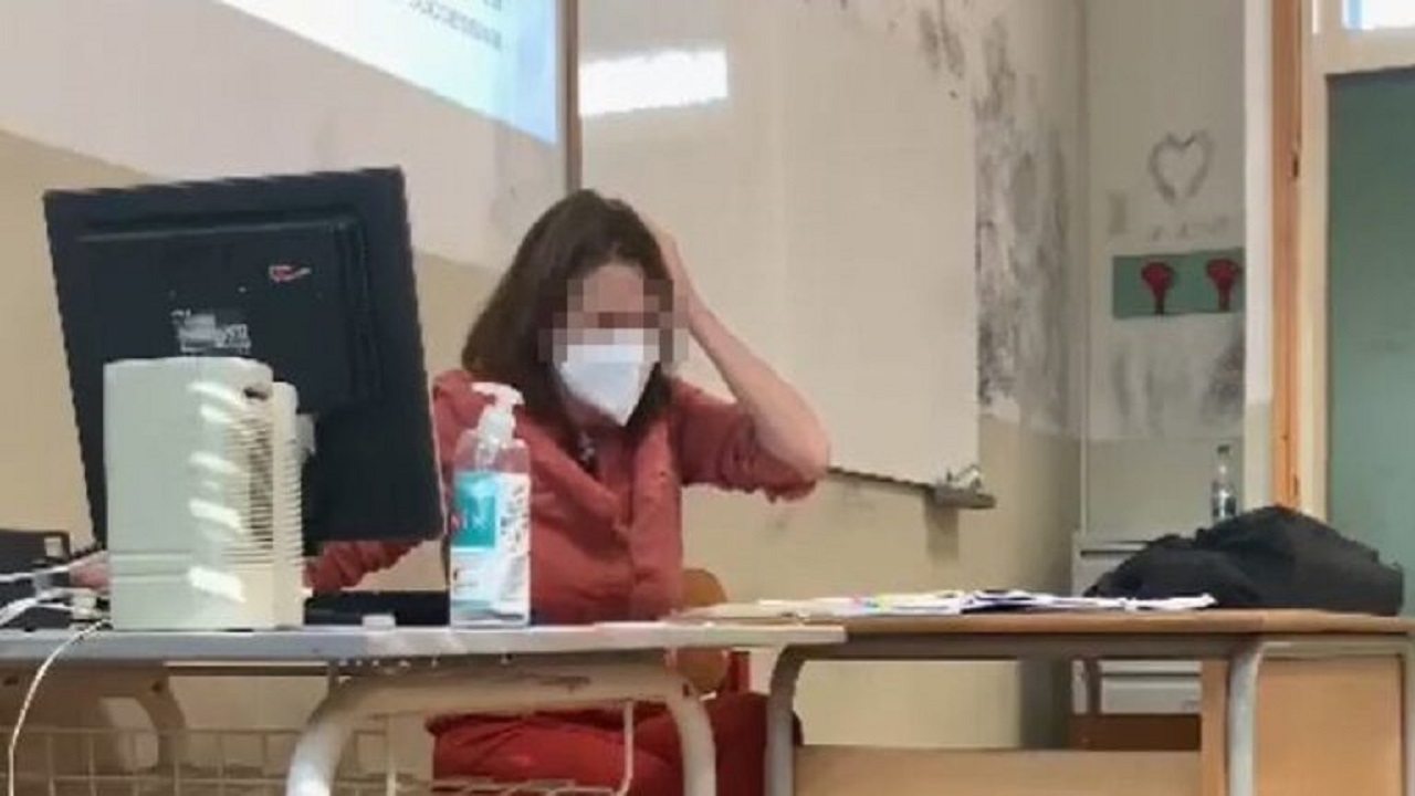 professoressa colpita da pallini