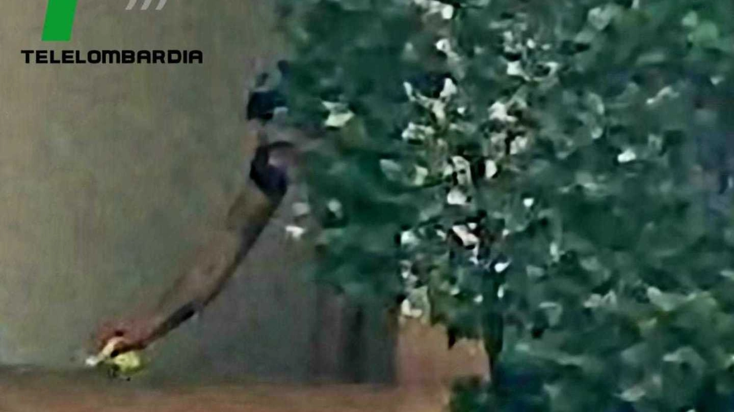 un-frame-di-telelombardia-in-cui-si-vede-impagnatiello-pulire-il-sangue-di-giulia