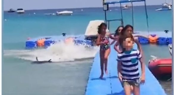 7523917_16184741_tonno_malta