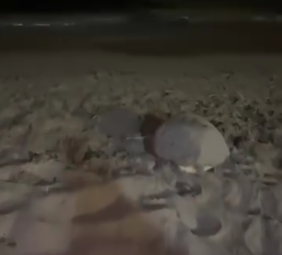 Screenshot_20230716_130343