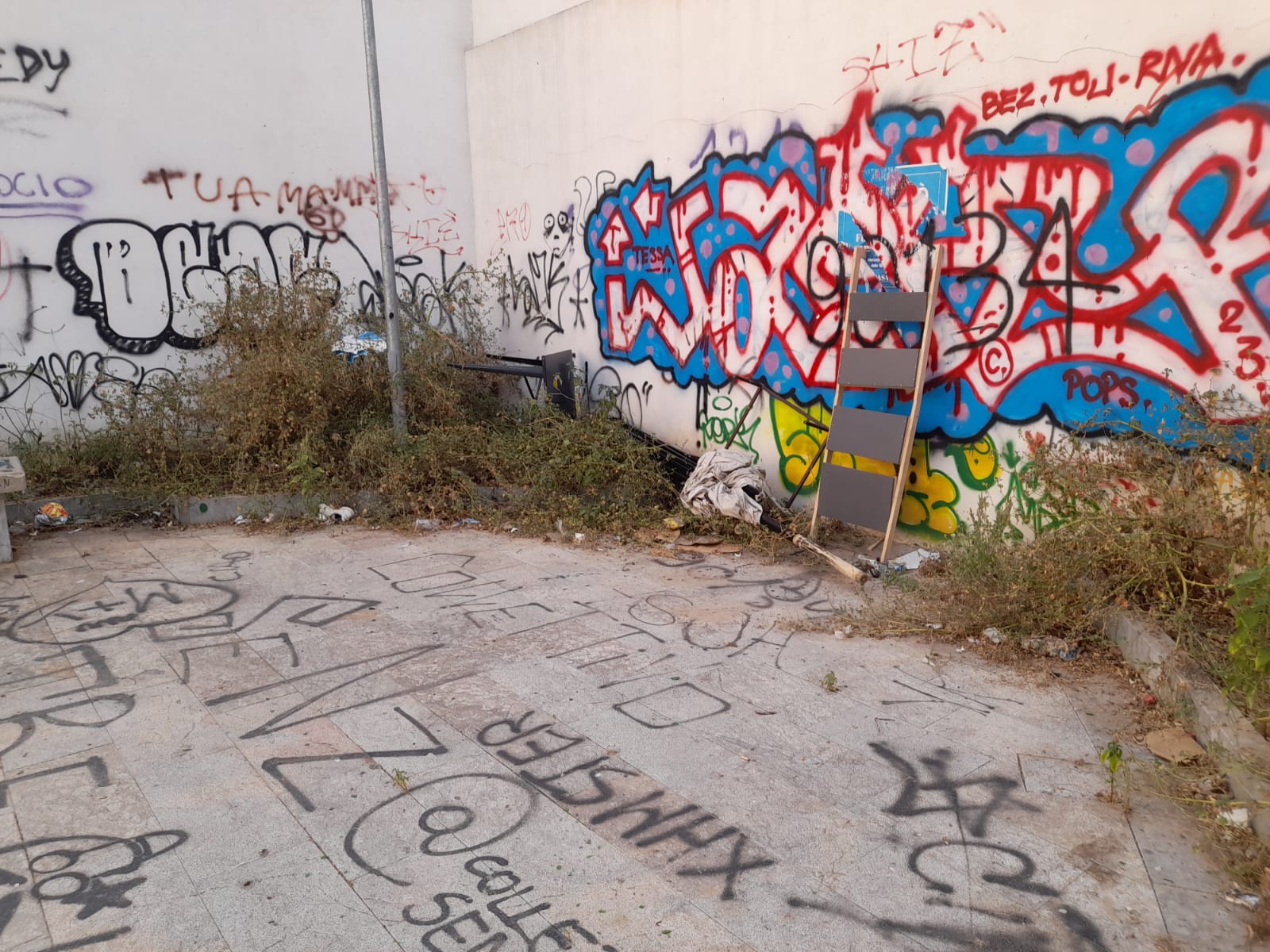 WhatsApp Image 2023-07-21 at 14.06.36 (1)