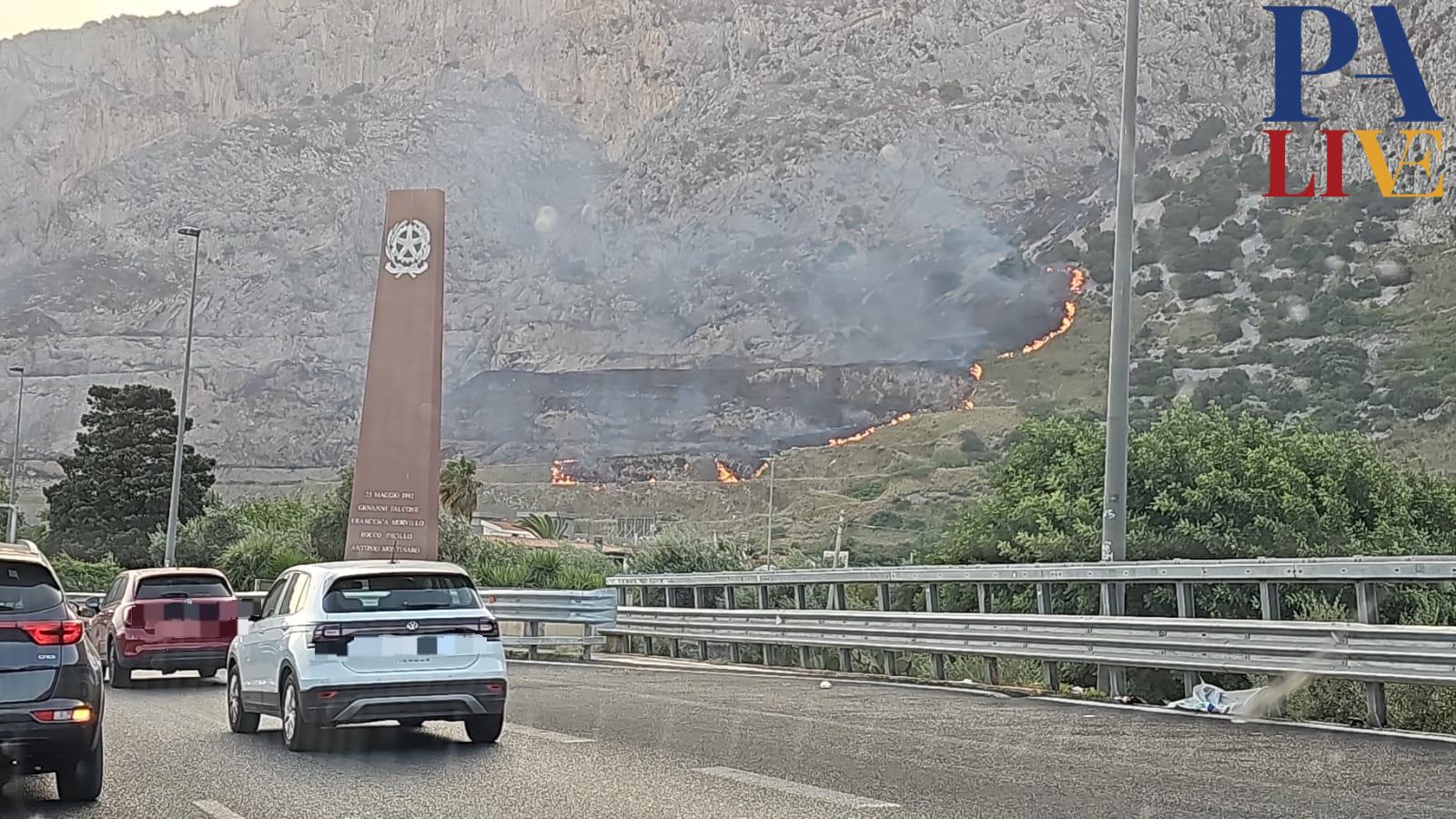 WhatsApp Image 2023-07-25 at 08.19.04