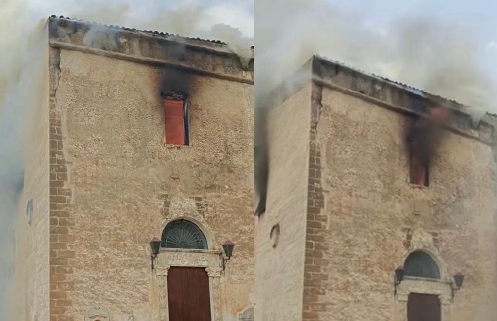 WhatsApp Image 2023-07-25 at 15.55.45