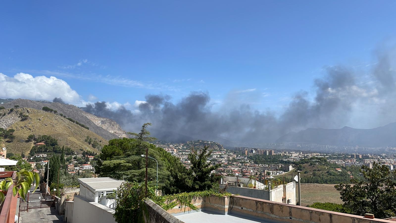 WhatsApp Image 2023-07-26 at 11.52.31 (1)