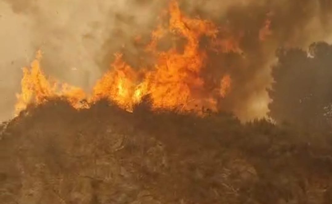 WhatsApp Image 2023-07-27 at 11.00.41