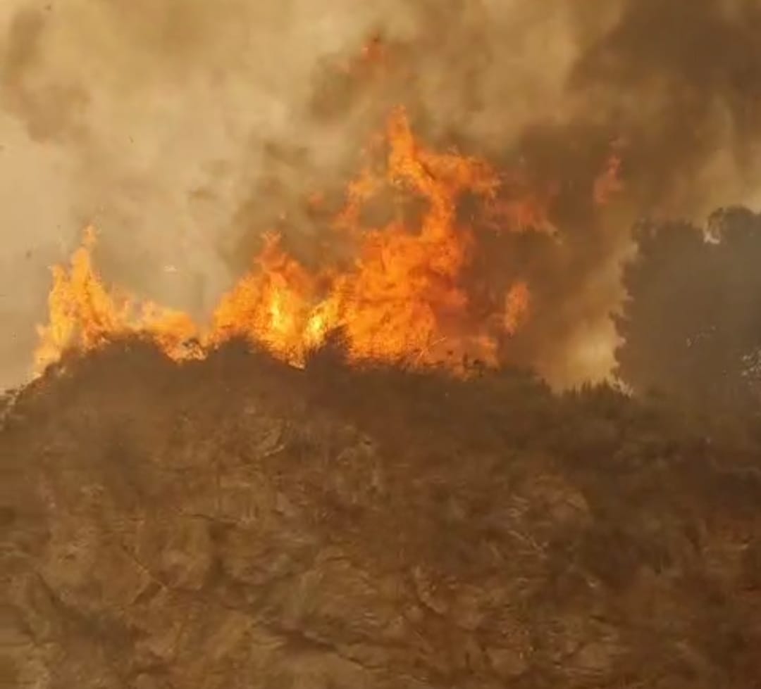 WhatsApp Image 2023-07-27 at 11.00.41