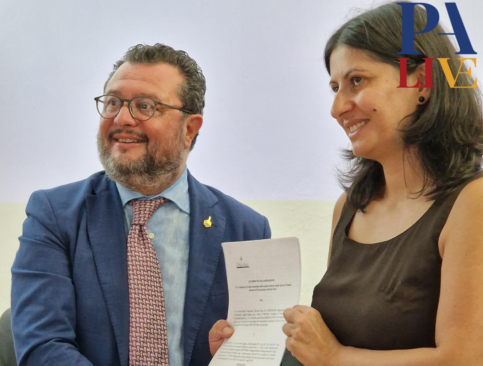 WhatsApp Image 2023-07-30 at 16.25.46