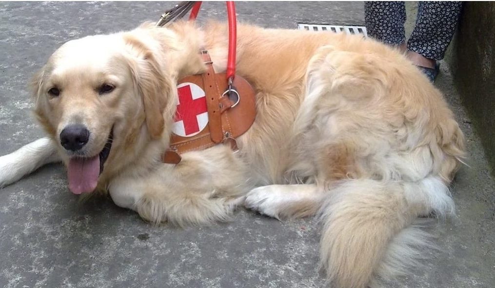 365759373_1018861755909844_4274275901351488441_n