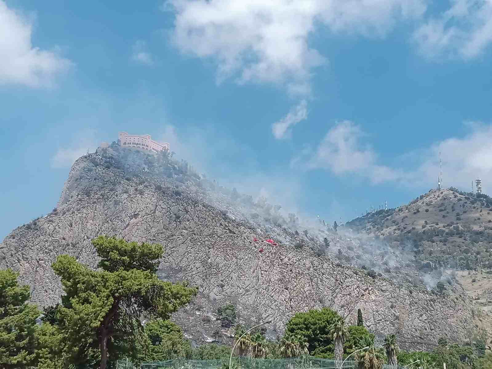 monte pellegrino_incendi