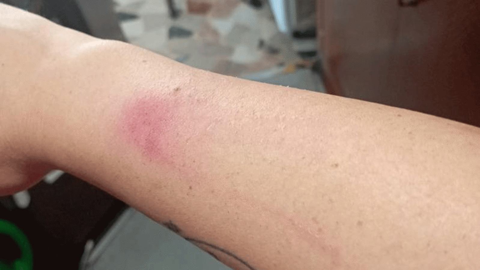 vittorioveneto-violenzainosteria