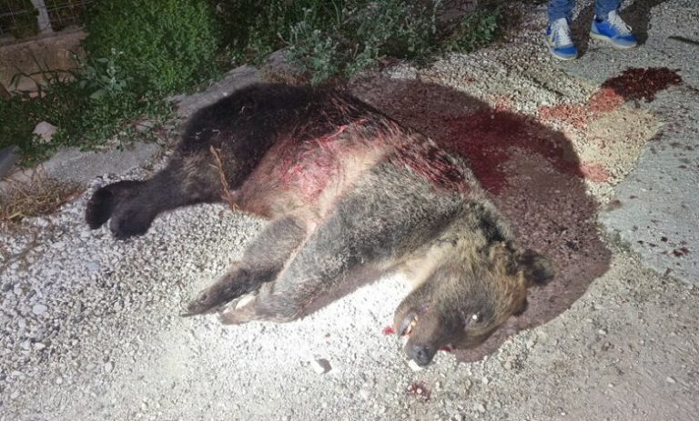 3D3D2F1F-FDCD-4DB8-9413-BE5C14D3D19F