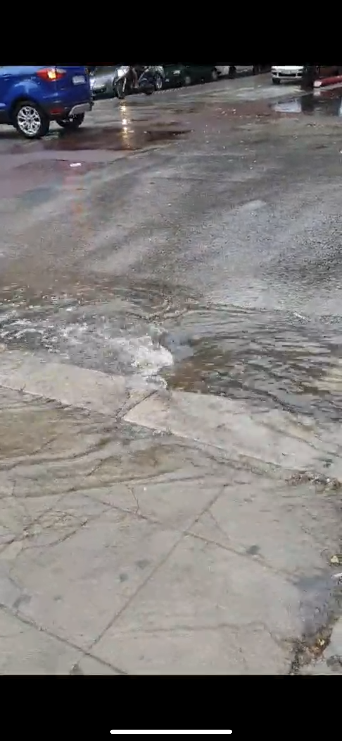 A713E8B1-FD58-41F7-A30F-0928A37FF001