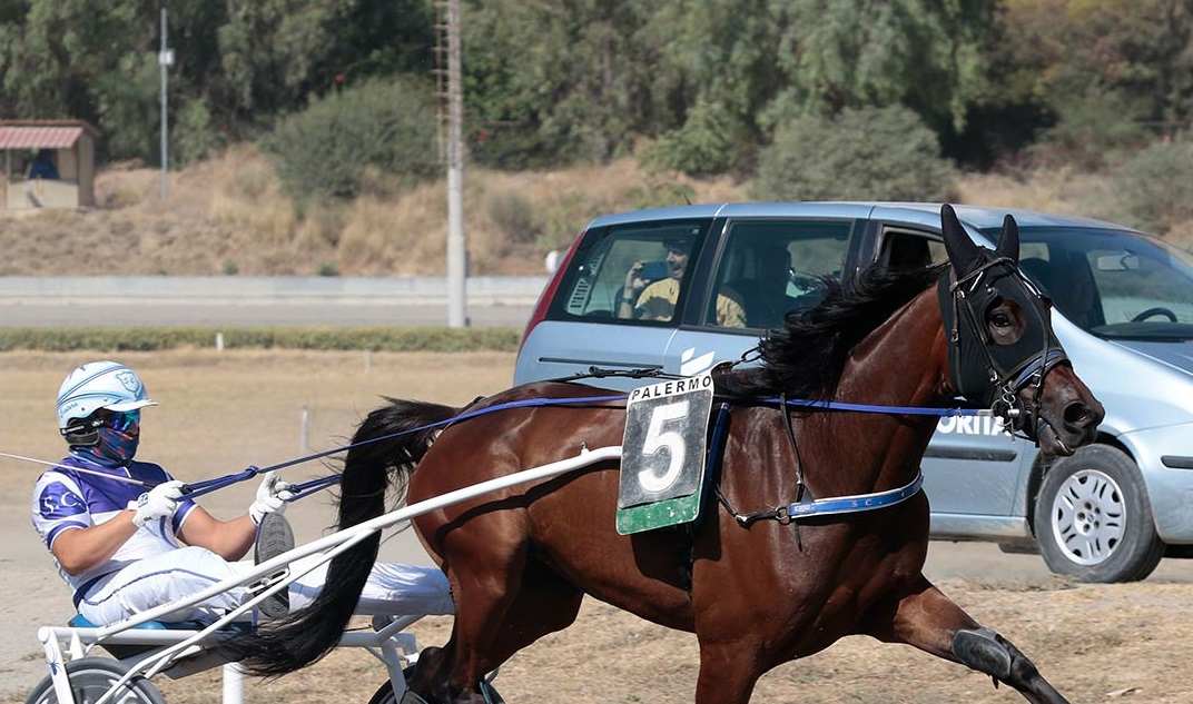 Salvatore Cintura vince il centrale con Fame Wise - Foto Maria Luisa Ferraro