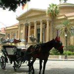 Palermo, basta carrozze trainate da cavalli: approvato Regolamento Animale