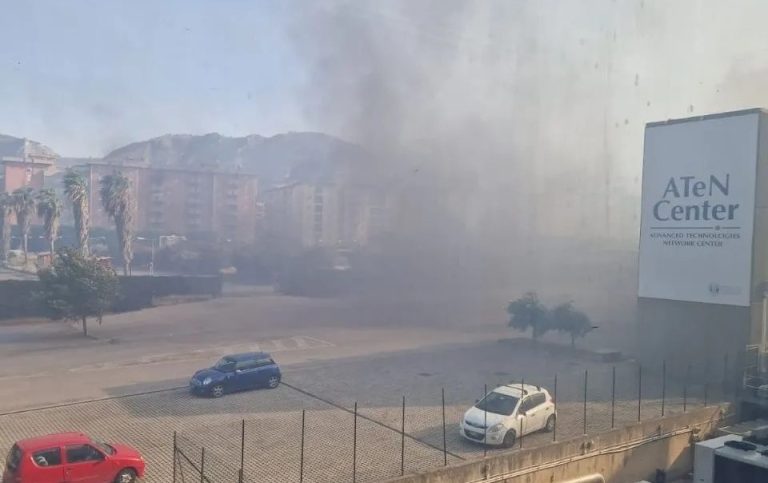 viale delle scienze palermo