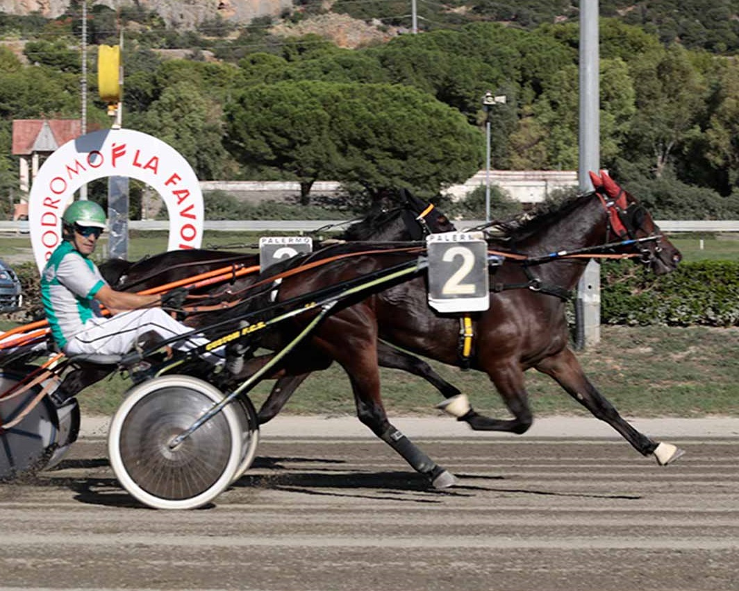 51DD777C-631F-473C-A23A-892B597F0E7B