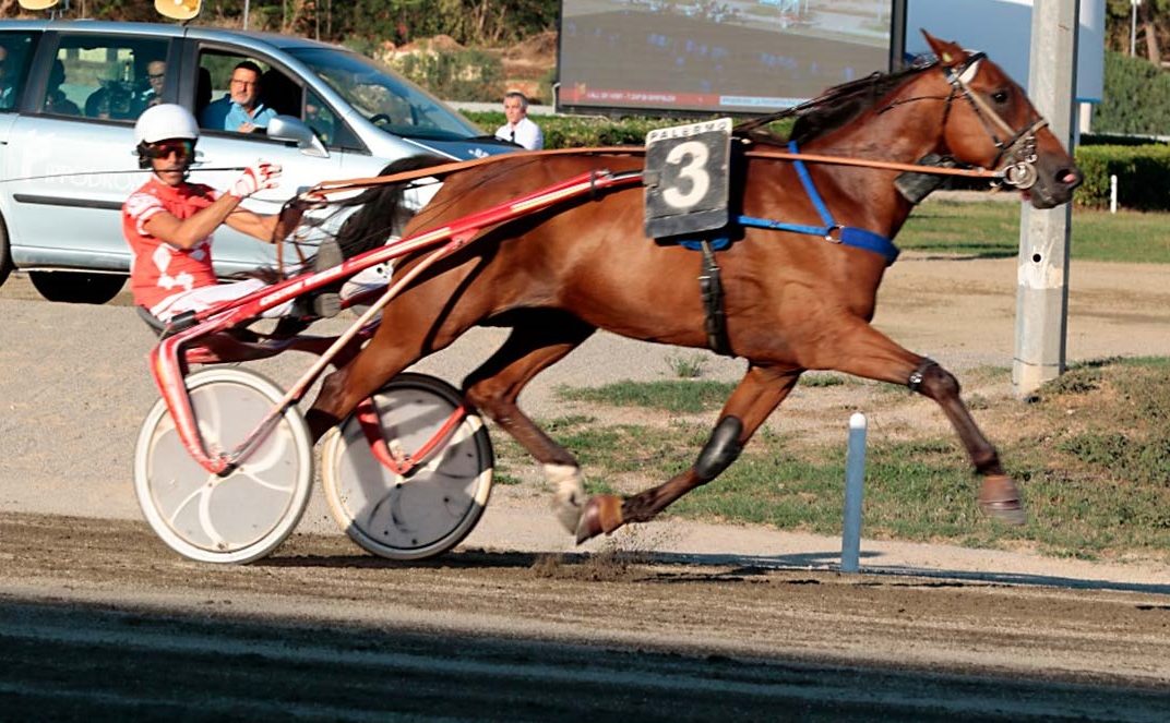 Giuseppe Cordova su Urbano Bargal - foto Maria Luisa Ferraro