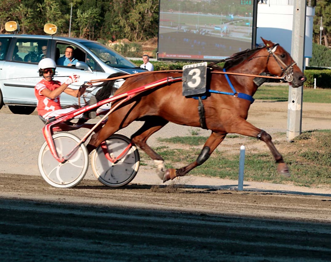 Giuseppe Cordova su Urbano Bargal - foto Maria Luisa Ferraro